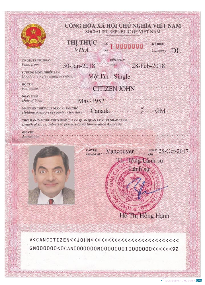 Download VIET NAM visa version 2 Photoshop template